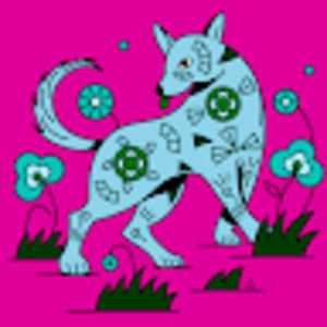 Meet your Posher, Yolanda